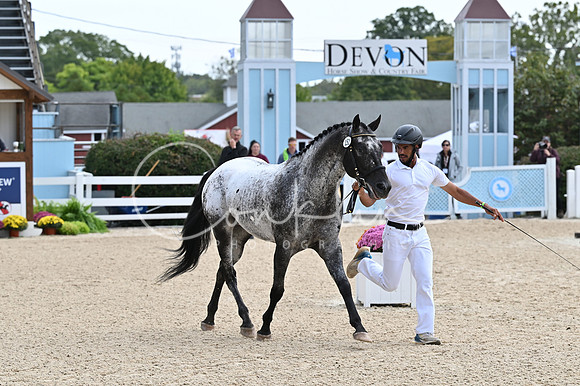 MAK_1294