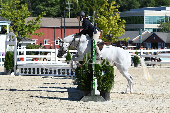 HSM_2594