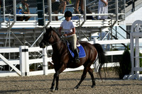 HSM_1211