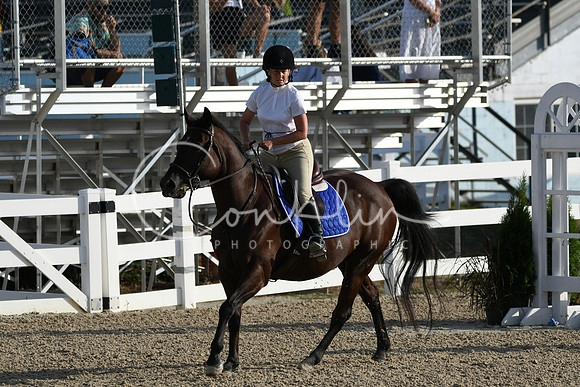 HSM_1211