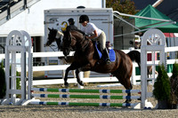 HSM_1209