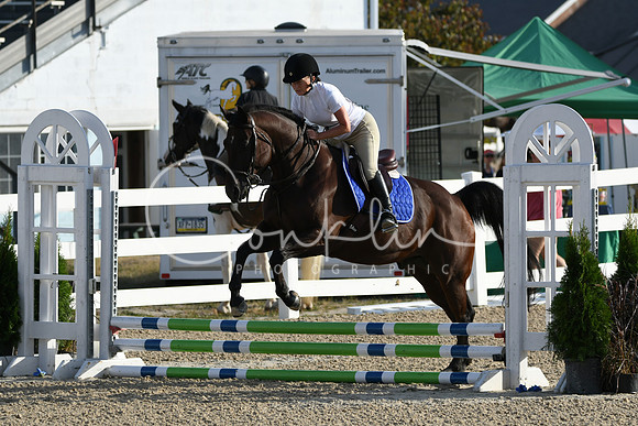 HSM_1209
