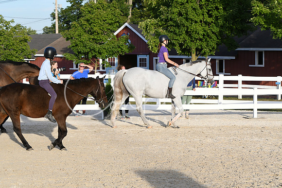 HSM_4774