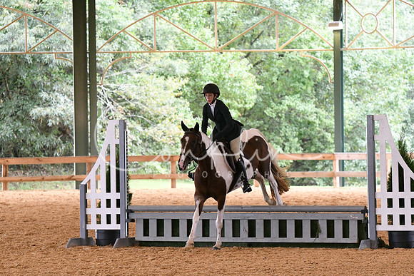 HSM_1343