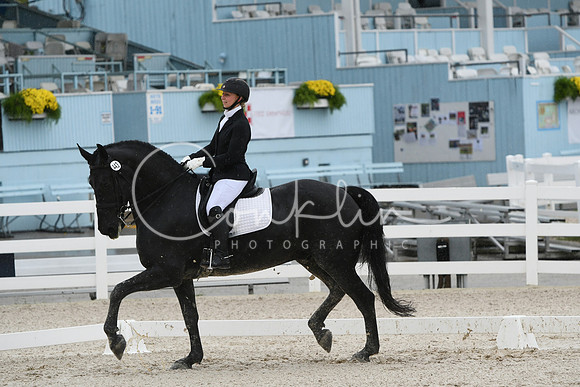 HSM_0420