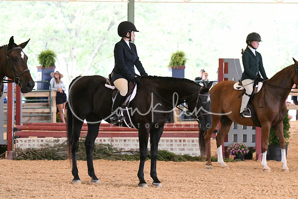 HSM_1672
