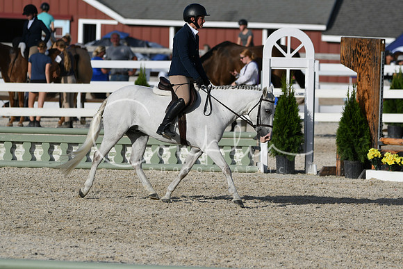 HSM_4440