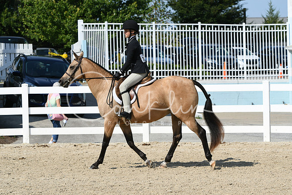 HSM_8275