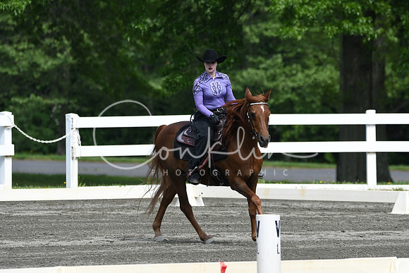 HSM_2634