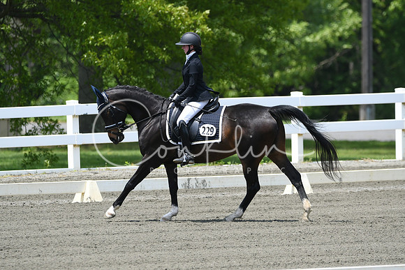 HSM_0049