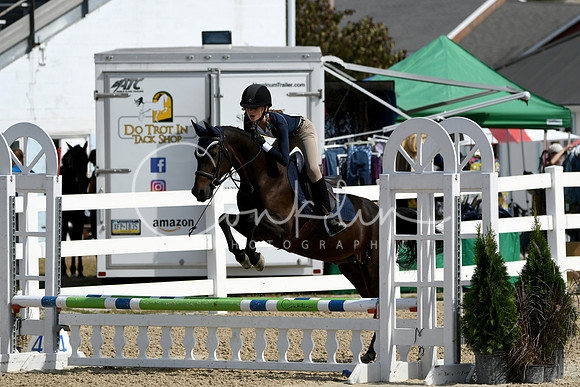 HSM_2031-1