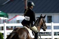 HSM_1323