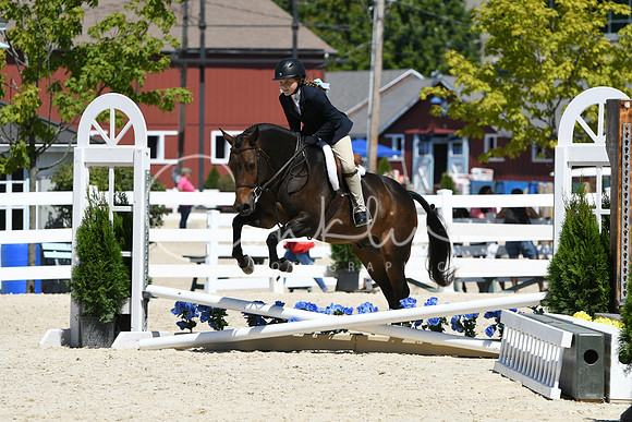 HSM_2904