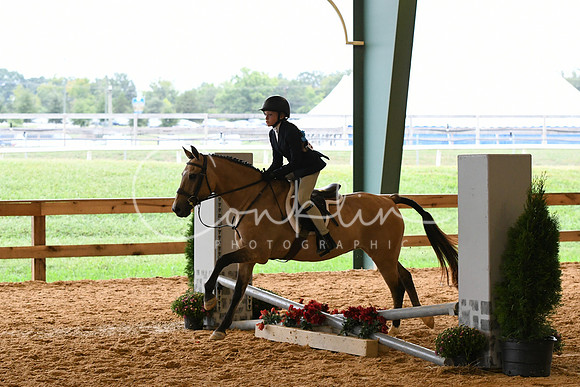 HSM_7033