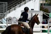HSM_2196