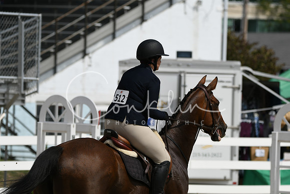 HSM_2196