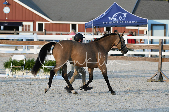HSM_5658