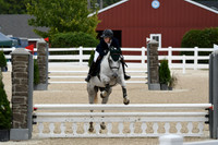 HSM_2947