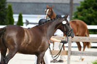 HSM_4865