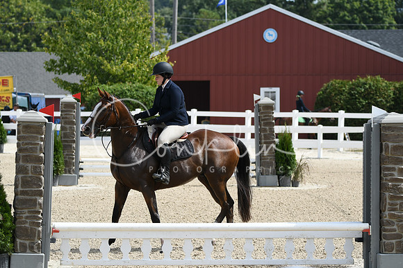 HSM_2195