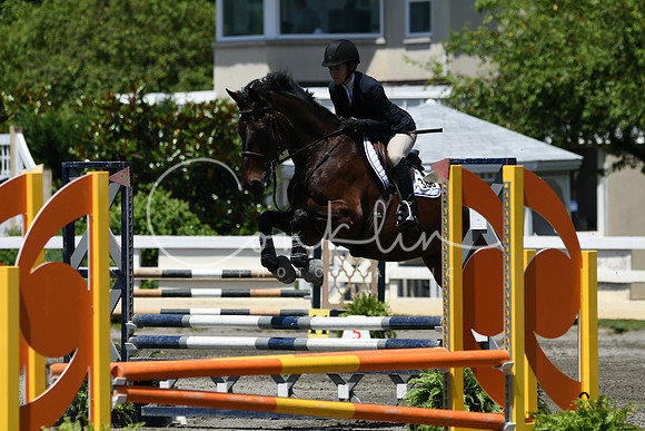 HSM_3158
