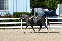 HSM_8242