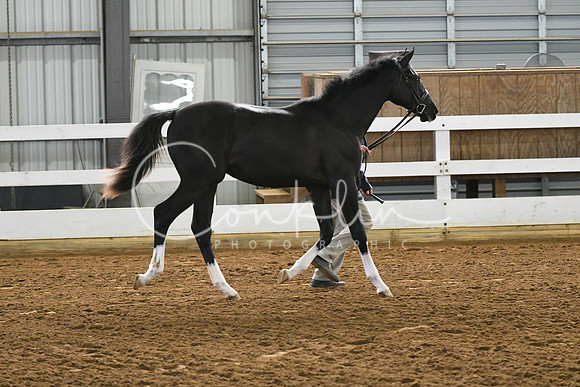 HSM_3743