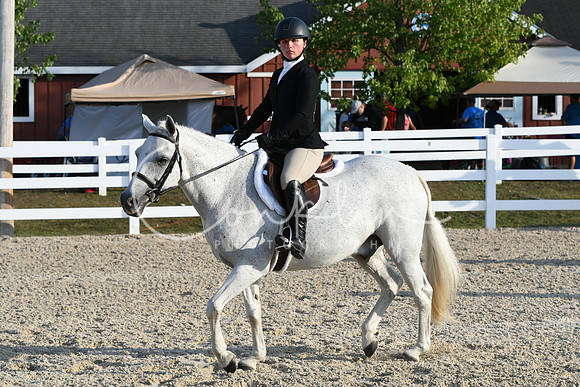 HSM_0108