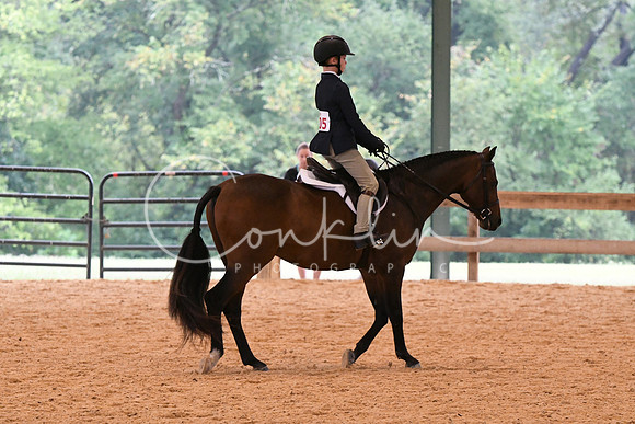 HSM_4264