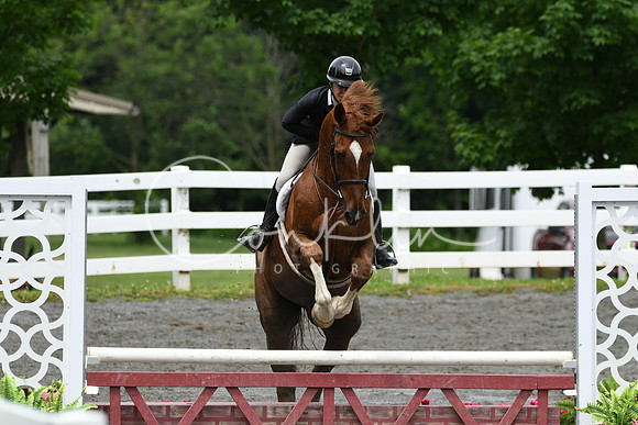 HSM_3933