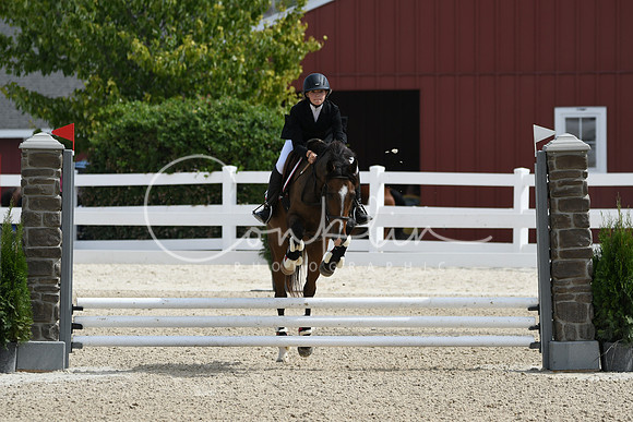 HSM_2198