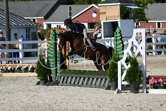 HSM_4380