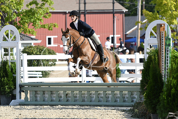 HSM_5731