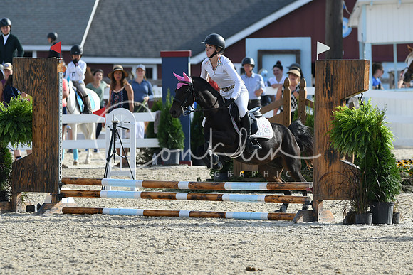 HSM_1460