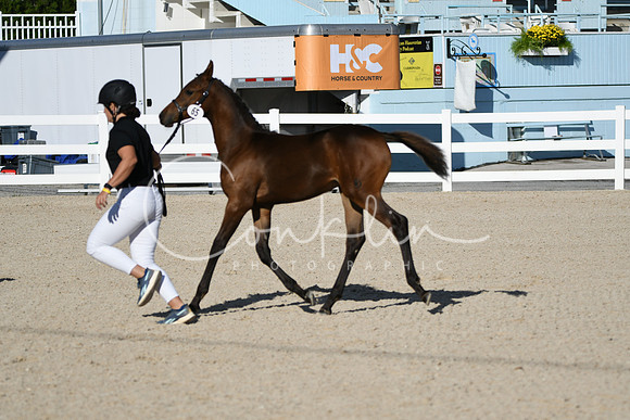 HSM_4324