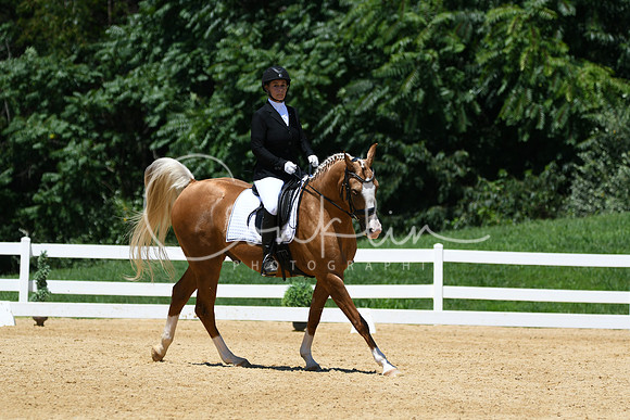 HSM_1408