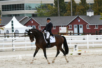 HSM_0690