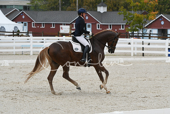 HSM_0559
