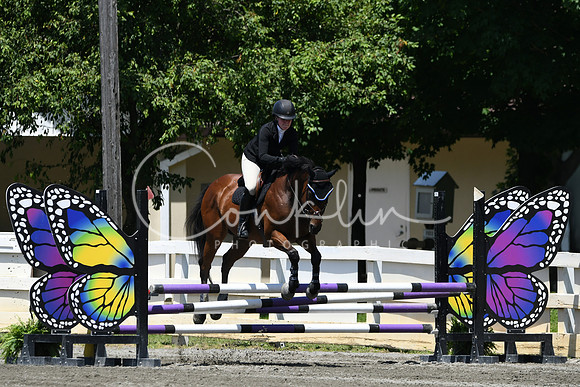HSM_3110