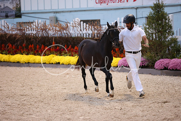 JRM_7300
