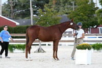HSM_5731