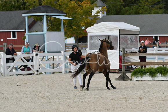HSM_5420