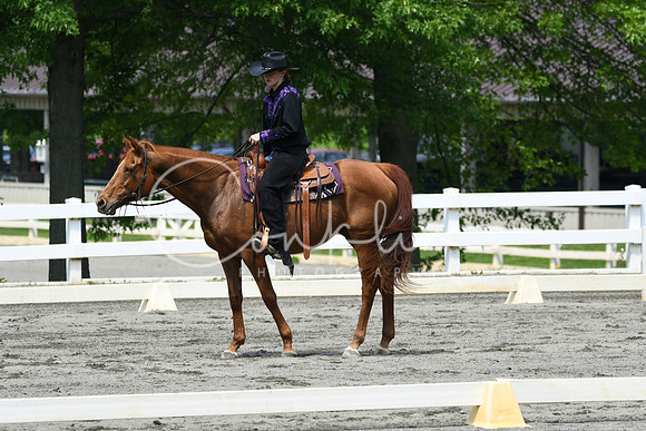HSM_2934