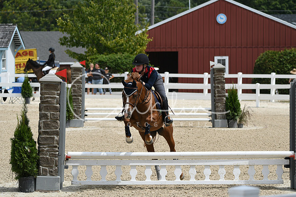 HSM_2594