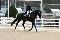 HSM_9603