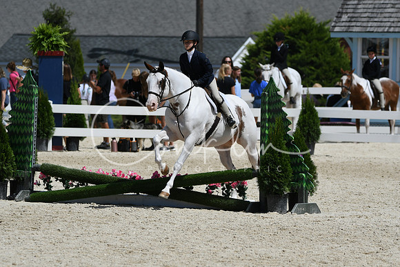 HSM_3035