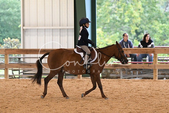 HSM_4813