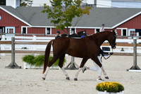 HSM_5515