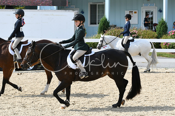 HSM_6365