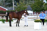 HSM_5742
